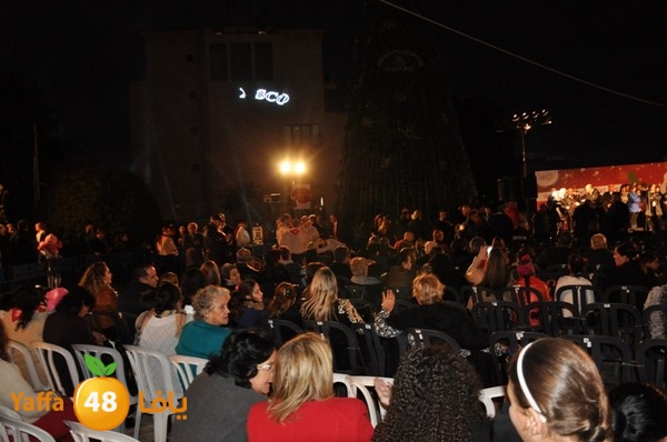 tree light 1208 (57).JPG